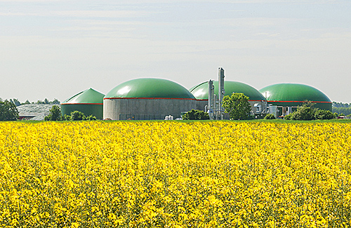 Grundlehrgang: Biogasanlagen sicher betreiben 