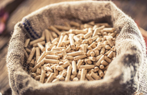 Wärmewende strategisch gestalten: Biomasse im Technologiemix - Versorgungssicherheit, Wirtschaftlichkeit und Regulierung im Überblick