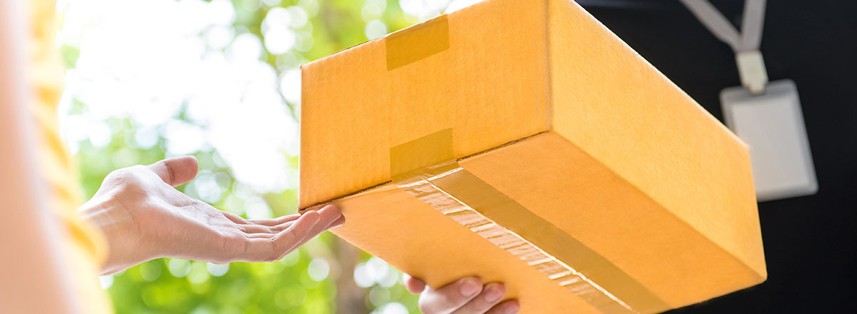 Paket-Lieferung, Postbote