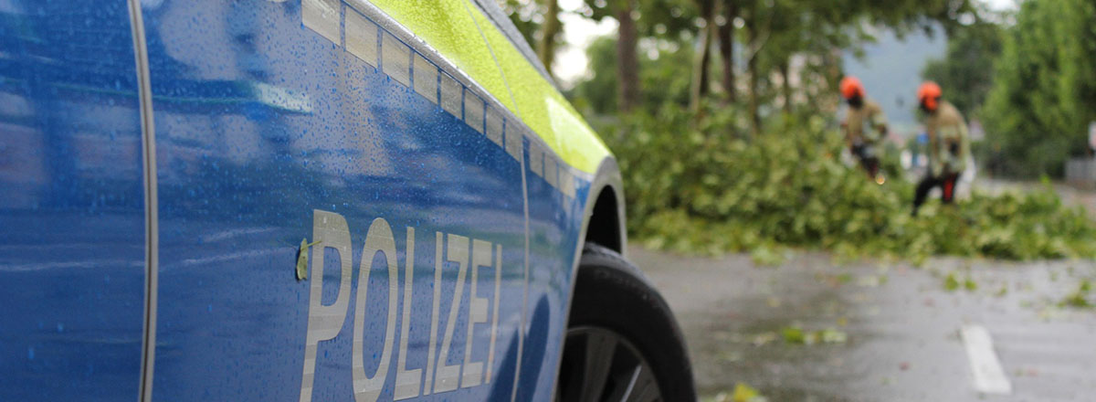 Verkehrssicherungspflichten: Herabstürzende Äste können großen Schaden verursachen