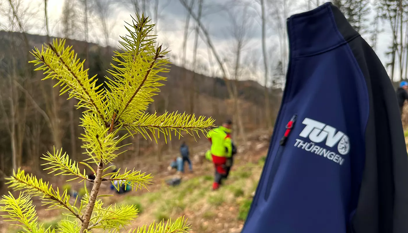 TÜV Thüringen Baumpflanzaktion: Ilmenauer Schülerinnen und Schüler pflanzen 240 Bäume im Thüringer Wald